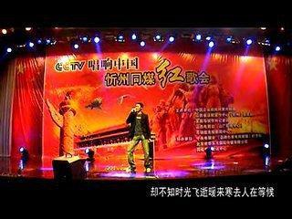 歌手王燁 產品代言演出 明星經紀 預約各類晚會