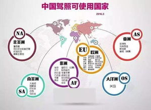逆天了我的中國(guó)駕照 竟然可以做這些事