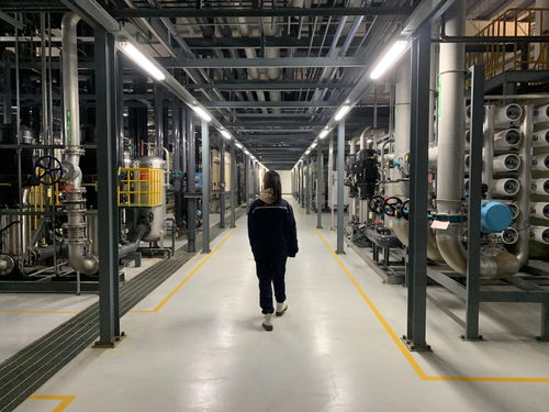 中國新工人 我在超級光伏電池廠工作,是組內唯二女生之一