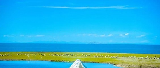 入局露營市場,是旅行社轉型的機會嗎?