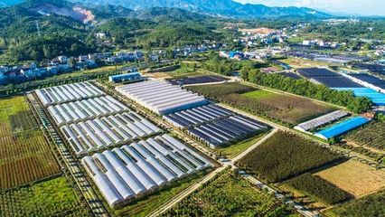 萬秀園:科技領航,生態農業