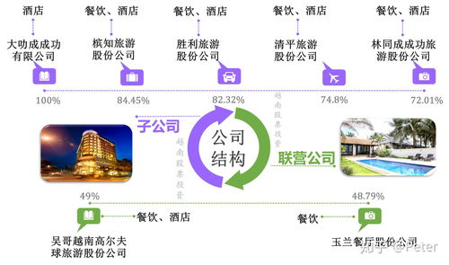 越南個股簡介 旅游 vng