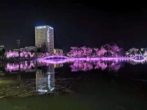 別 端 著,嗨起來 長豐六條精品旅游線路邀您來打卡 二