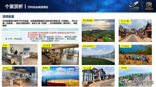 房地產進入性調研 2021撫仙湖市場報告